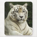Suche nach plakat mousepads Frau