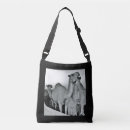 Recherche de chameau sacs Désert