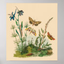 Recherche de papillons vintage posters Jardins