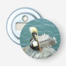 Recherche de la floride ouvre bouteilles Faune