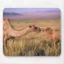 Suche nach ungewöhnliche mousepads Natur