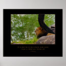 Recherche de citation lion posters Chat