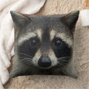 Recherche de racoon coussins Raton laveur