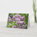 Suche nach april geburtstag karten Blume