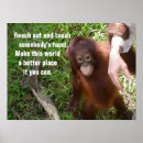 Suche nach wild lebende tiere poster Orang utan