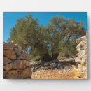 Suche nach bäume auf fotoplatten Baum