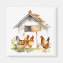 Suche nach rooster magnete Nutztier
