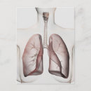 Recherche de vue 3d cartes postales Arbre bronchique