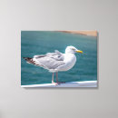 Recherche de vue sur mer art Faune