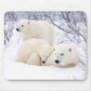 Suche nach weibchen mousepads Bär