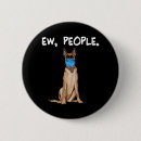 Recherche de malinois belge badges Chiot