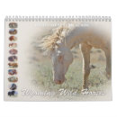 Recherche de but photographie Cheval