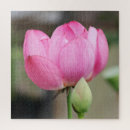 Suche nach zen puzzle Fotografie