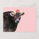 Suche nach cow postkarten Farm