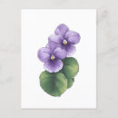 Recherche de dessins au trait cartes postales Floral