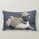 Recherche de tristesse coussins Chiot