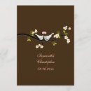 Suche nach zwei tauben postkarten Liebe