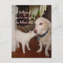 Recherche de amie cartes postales Humour