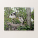 Recherche de cigognes puzzles Nature