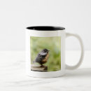 Recherche de premier plan tasses Animaux de bébé
