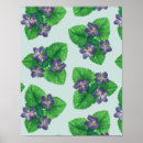 Suche nach veilchen sind blau poster Blumenreich