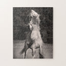 Recherche de étalon puzzles Animaux