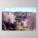 Recherche de la terre sainte posters Religion