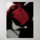 Suche nach single rose poster Blume