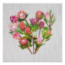 Suche nach protea blume poster Blumenreich