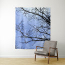 Suche nach winterhimmel Natur
