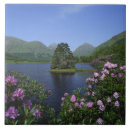 Suche nach schottland fliesen Vereinigtes königreich