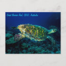 Recherche de turtle cartes postales Ocean