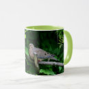 Recherche de tourterelle tasses Nature