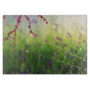 Suche nach grünes gras schneidebrettchen Lila