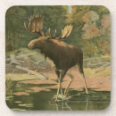 Suche nach rotwild untersetzer Natur