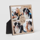 Recherche de de chien plaques Dogs