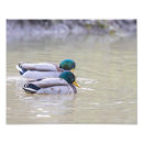 Recherche de nature photography art Wildlife