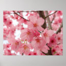 Suche nach willkommen zu hause poster Rosa