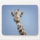 Recherche de tête girafe tapis souris Partie du corps animale