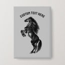 Recherche de cheval noir badges Amoureux des chevaux
