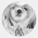 Recherche de chiot autocollants Neige