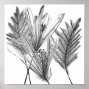 Suche nach silhouette poster Botanisch