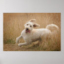 Suche nach laufendes poster Niedlich