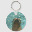 Suche nach seelöwen schlüsselanhänger Meer