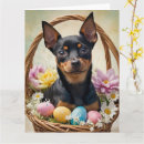 Recherche de pinscher miniature cartes postales Animal