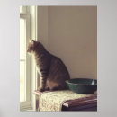 Suche nach katze fenster poster Kitty