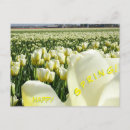 Recherche de tulipe jaune cartes postales Pour tous