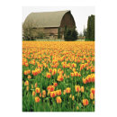 Recherche de champ de tulipe posters Couleur