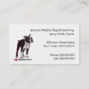Suche nach boston terrier visitenkarten Pflegen