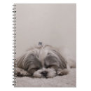 Suche nach shih tzu kleine notizbücher Niedlicher hund